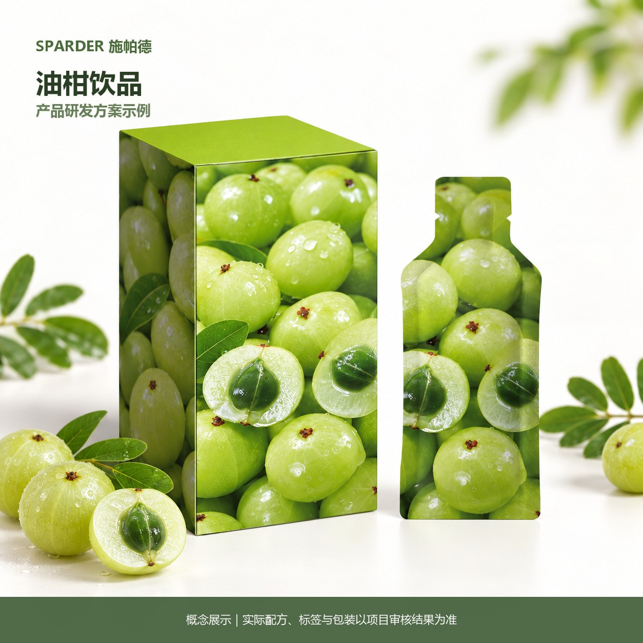 油柑饮品研发方案示例